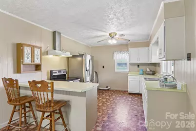 414 Skyline Drive, Canton, NC 28716 - Photo 9