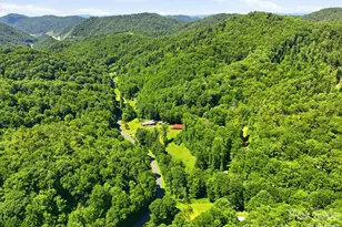 1005 Smith Creek Rd, Mars Hill, NC 28754 - Photo 17