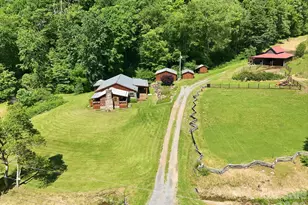 1005 Smith Creek Rd, Mars Hill, NC 28754 - Photo 7