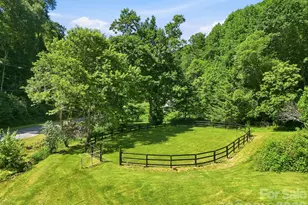 1005 Smith Creek Rd, Mars Hill, NC 28754 - Photo 9