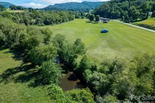 19 Helping Hands Wy, Pisgah Forest, NC 28768 - Photo 45