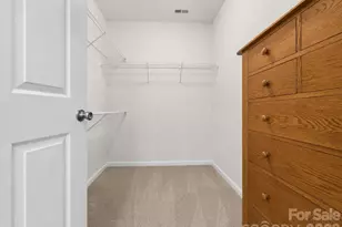 9069 Rosalyn Glen Rd, Cornelius, NC 28031 - Photo 19