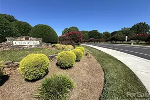 8717 Doe Path Ln, Huntersville, NC 28078 - Photo 33