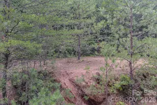35 Coweeta Ridge Rd, Otto, NC 28763 - Photo 45