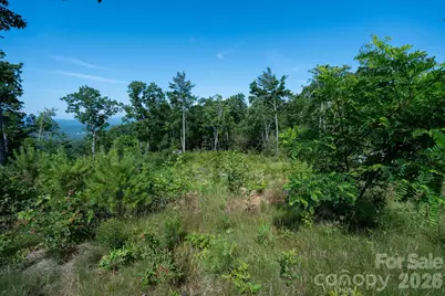 99999 Mountain Grove Lane #48, Fletcher, NC 28732 - Photo 9