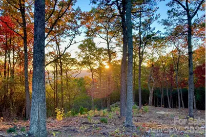 99999 Mountain Grove Lane #48, Fletcher, NC 28732 - Photo 3