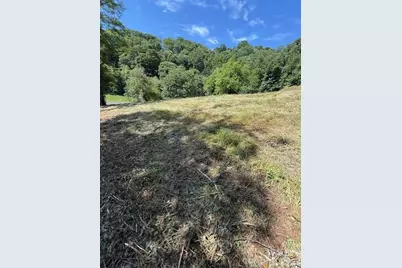 #38 Sleepy Hollow Drive, Waynesville, NC 28785 - Photo 7