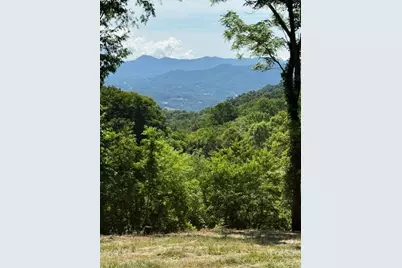 #38 Sleepy Hollow Drive, Waynesville, NC 28785 - Photo 3