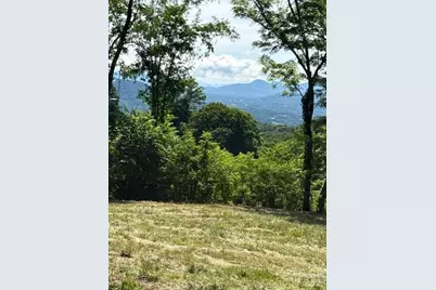 #38 Sleepy Hollow Drive, Waynesville, NC 28785 - Photo 1