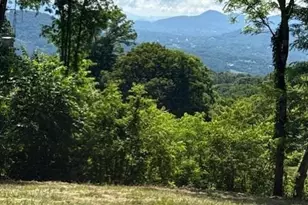 #38 Sleepy Hollow Dr, Waynesville, NC 28785 - Photo 1
