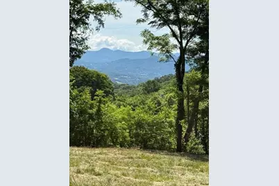 #38 Sleepy Hollow Drive, Waynesville, NC 28785 - Photo 11