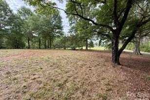 5059 Brown Creek Church Rd, Wadesboro, NC 28170 - Photo 11