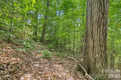 999 Perrion Avenue #18, Weaverville, NC 28787 - Photo 19