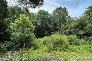 145 Alexander Acres Rd, Mooresville, NC 28115 - Photo 9