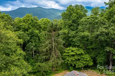 191 Walkertown Road, Black Mountain, NC 28711 - Photo 3