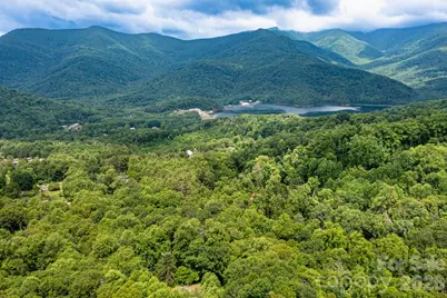 191 Walkertown Road, Black Mountain, NC 28711 - Photo 9