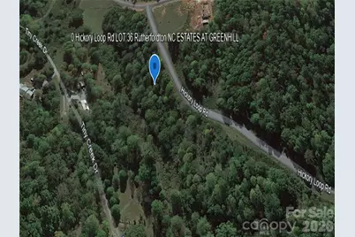0 Hickory Loop Road #Lot 36, Rutherfordton, NC 28139 - Photo 5