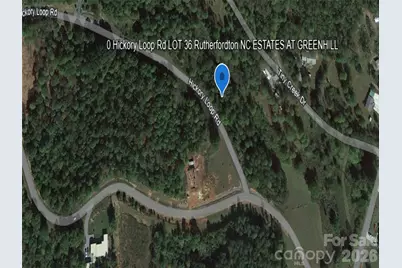 0 Hickory Loop Road #Lot 36, Rutherfordton, NC 28139 - Photo 3