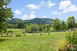114 Cane Crk Rnch Dr, Fletcher, NC 28732 - Photo 23