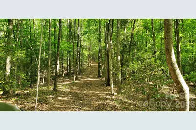 795 Elk Shoals Church Loop, Stony Point, NC 28678 - Photo 33