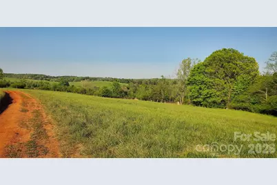 795 Elk Shoals Church Loop, Stony Point, NC 28678 - Photo 37