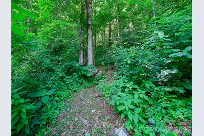 311 Old Sawmill Road, Burnsville, NC 28714 - Photo 35