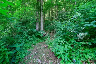 311 Old Sawmill Rd, Burnsville, NC 28714 - Photo 35