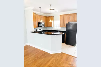 4376 Yoruk Forest Lane, Charlotte, NC 28211 - Photo 3