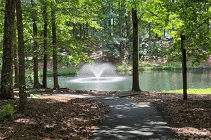 109 Oak Grove Ct, Fort Mill, SC 29715 - Photo 33