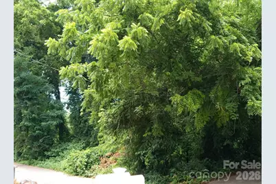 000 Ann Drive #170, Belmont, NC 28012 - Photo 1