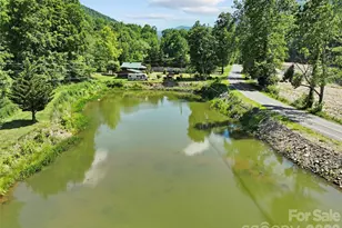 30 Clover Ln, Burnsville, NC 28714 - Photo 33