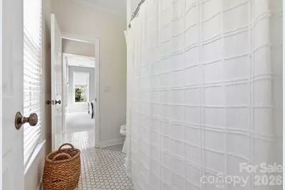 341 Elis Way, Fort Mill, SC 29708 - Photo 33