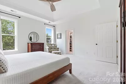 341 Elis Way, Fort Mill, SC 29708 - Photo 25