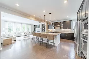 205 Somerled Way, Waxhaw, NC 28173 - Photo 7