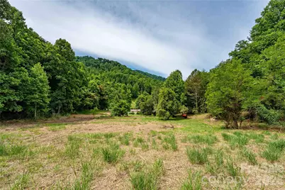 9999 Morgan Branch Road, Weaverville, NC 28787 - Photo 3