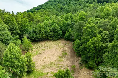9999 Morgan Branch Road, Weaverville, NC 28787 - Photo 7
