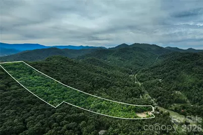 9999 Morgan Branch Road, Weaverville, NC 28787 - Photo 23