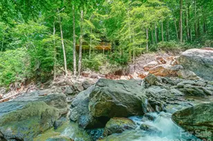 552 N Fork Rd, Burnsville, NC 28714 - Photo 5