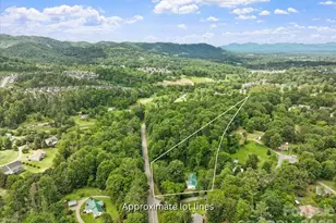 2 Ray Rd, Weaverville, NC 28787 - Photo 37