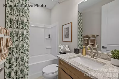 1591 Twin Leaf Road, Fort Mill, SC 29715 - Photo 31