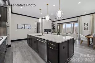 451 Pitch Pne St, Fort Mill, SC 29715 - Photo 3