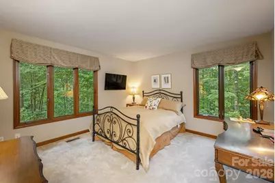 117 Tarnhill Drive, Flat Rock, NC 28731 - Photo 29