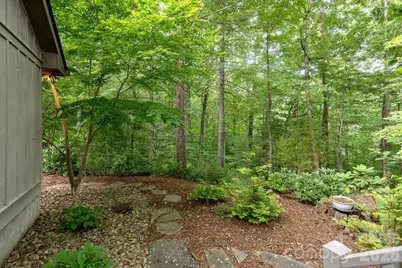 117 Tarnhill Drive, Flat Rock, NC 28731 - Photo 33