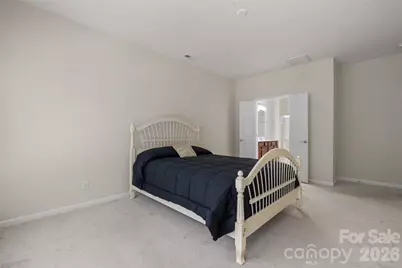 9015 Smokey Hill Lane, Indian Land, SC 29707 - Photo 13