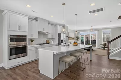 314 Hastings Run Drive, Charlotte, NC 28211 - Photo 3
