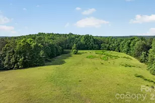 485 Frog Creek Rd, Union Mills, NC 28167 - Photo 9