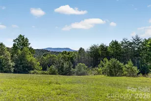 485 Frog Creek Rd, Union Mills, NC 28167 - Photo 15