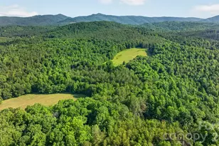 485 Frog Creek Rd, Union Mills, NC 28167 - Photo 7