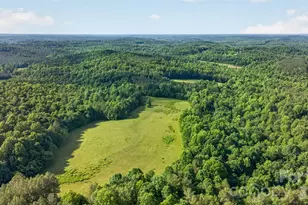 485 Frog Creek Rd, Union Mills, NC 28167 - Photo 5