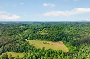 485 Frog Creek Rd, Union Mills, NC 28167 - Photo 13